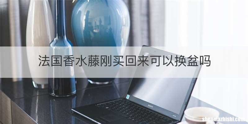 法国香水藤刚买回来可以换盆吗