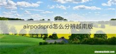 airpodspro怎么分辨越南版