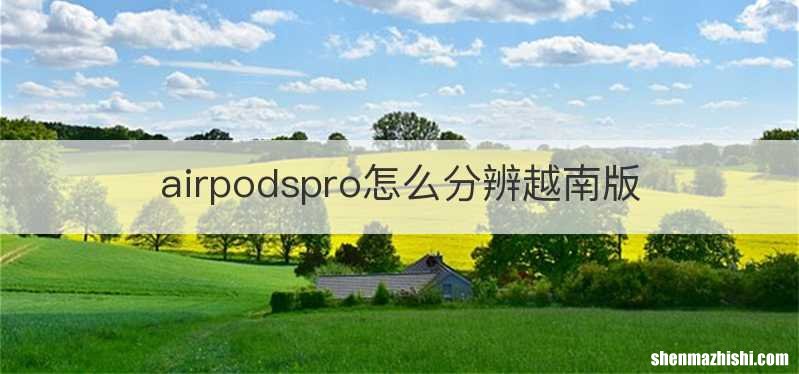 airpodspro怎么分辨越南版