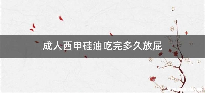 成人西甲硅油吃完多久放屁