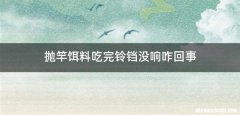 抛竿饵料吃完铃铛没响咋回事