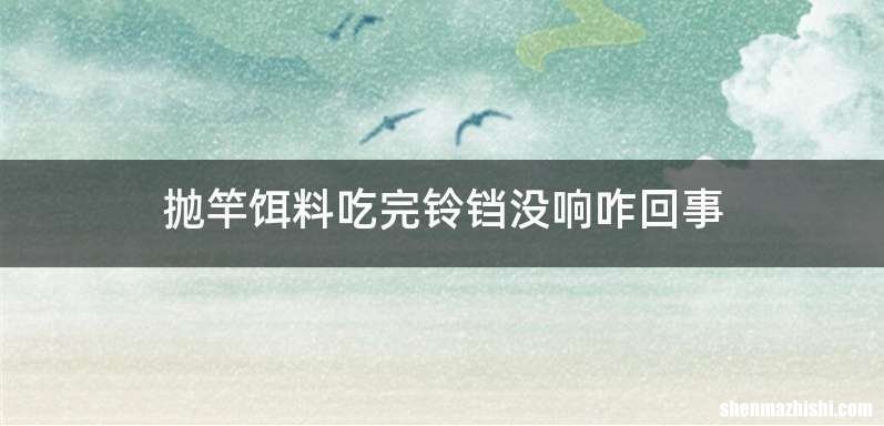 抛竿饵料吃完铃铛没响咋回事