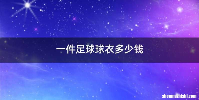 一件足球球衣多少钱