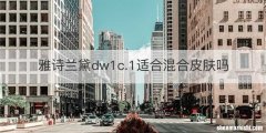 雅诗兰黛dw1c.1适合混合皮肤吗