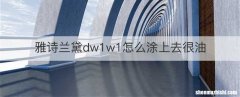 雅诗兰黛dw1w1怎么涂上去很油