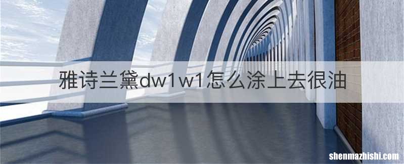 雅诗兰黛dw1w1怎么涂上去很油