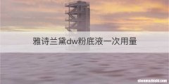 雅诗兰黛dw粉底液一次用量