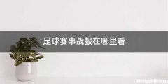 足球赛事战报在哪里看