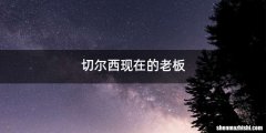 切尔西现在的老板