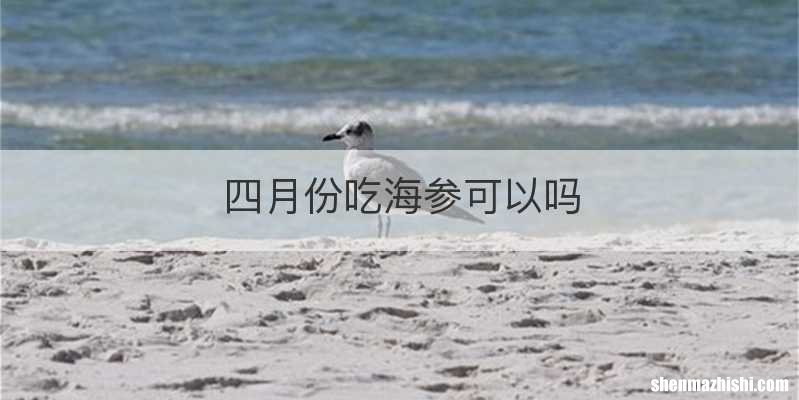 四月份吃海参可以吗