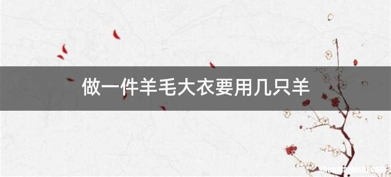 做一件羊毛大衣要用几只羊