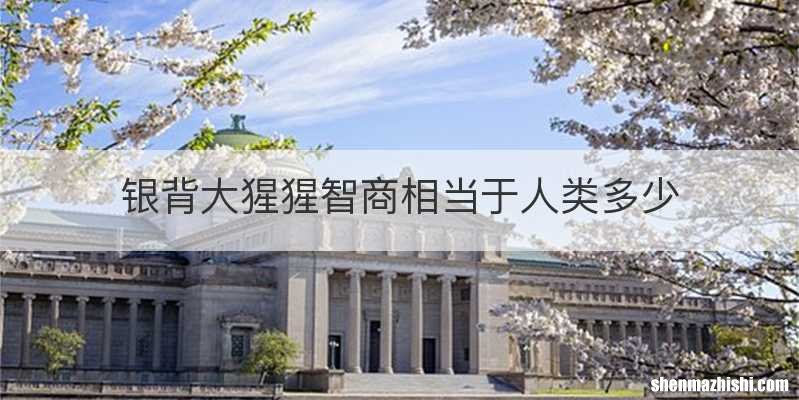 银背大猩猩智商相当于人类多少