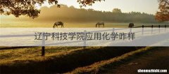 辽宁科技学院应用化学咋样