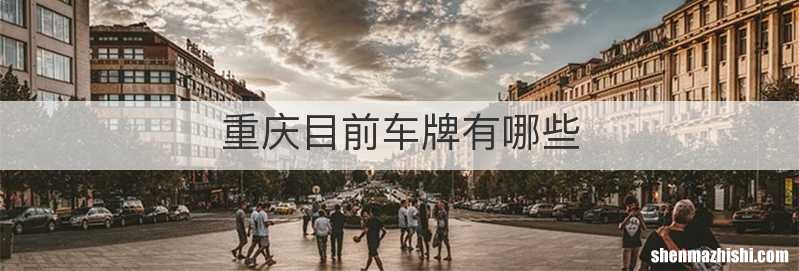 重庆目前车牌有哪些