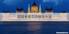 泥猛鱼苦瓜汤做法大全