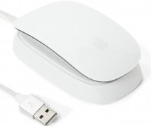 如何解决Magic Mouse断开连接问题