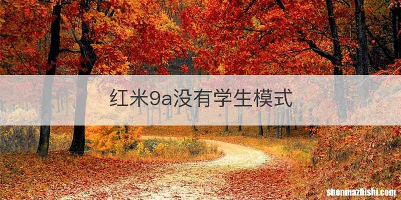 红米9a没有学生模式