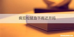 疯狂松鼠岛下雨还开吗