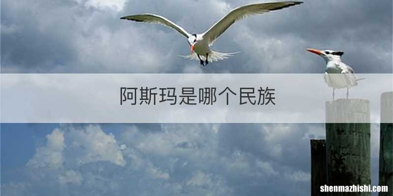阿斯玛是哪个民族