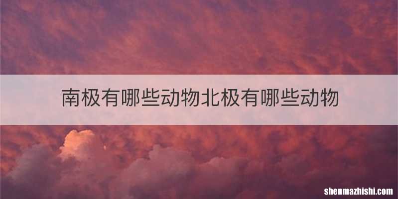 南极有哪些动物北极有哪些动物