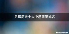 足坛历史十大中场前腰排名