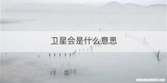 卫星会是什么意思