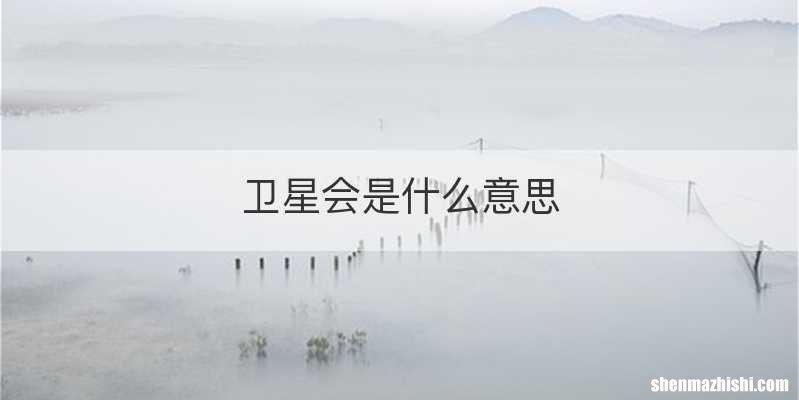 卫星会是什么意思
