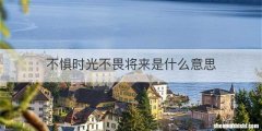 不惧时光不畏将来是什么意思