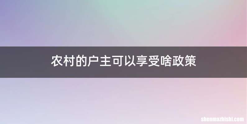 农村的户主可以享受啥政策