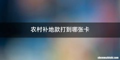 农村补地款打到哪张卡
