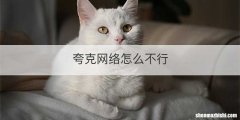 夸克网络怎么不行