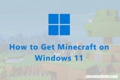 如何轻松解决Windows11黑屏问题？这篇文章教你