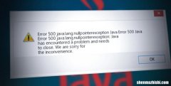 如何修复“错误 500：Java.Lang.NullPointerException”