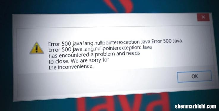 如何修复“错误 500：Java.Lang.NullPointerException”