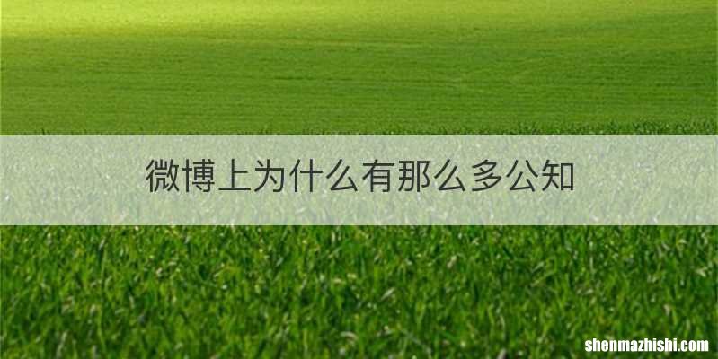 微博上为什么有那么多公知