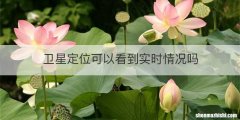 卫星定位可以看到实时情况吗