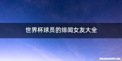世界杯球员的绯闻女友大全