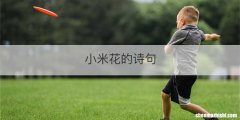 小米花的诗句