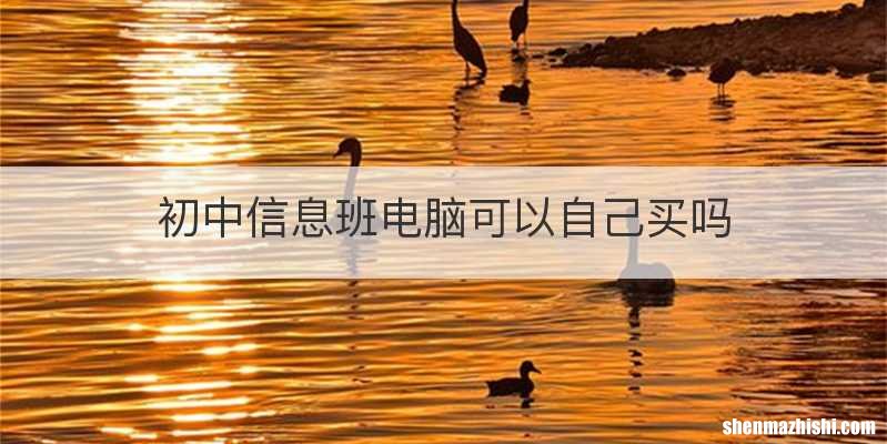 初中信息班电脑可以自己买吗