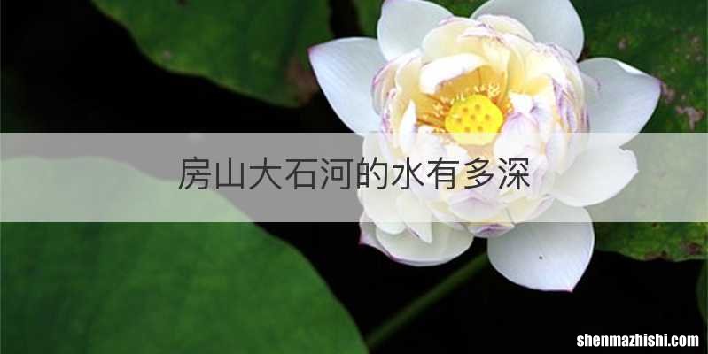 房山大石河的水有多深
