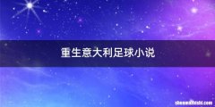 重生意大利足球小说