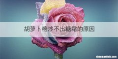 胡萝卜糖炒不出糖霜的原因
