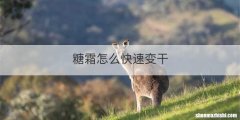 糖霜怎么快速变干