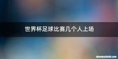 世界杯足球比赛几个人上场