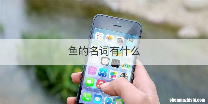 鱼的名词有什么