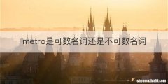 metro是可数名词还是不可数名词