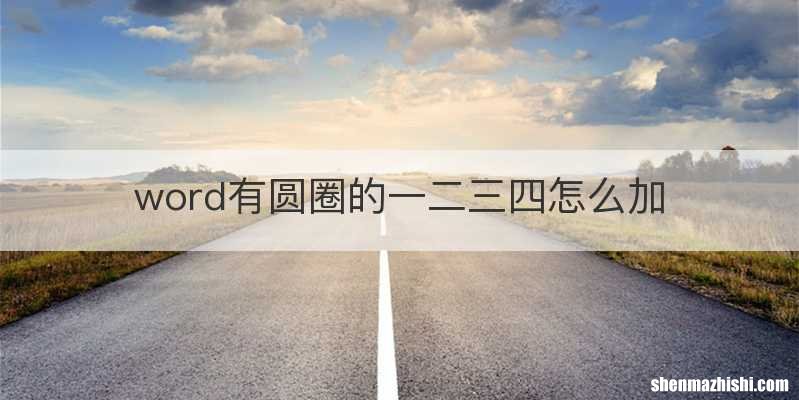 word有圆圈的一二三四怎么加
