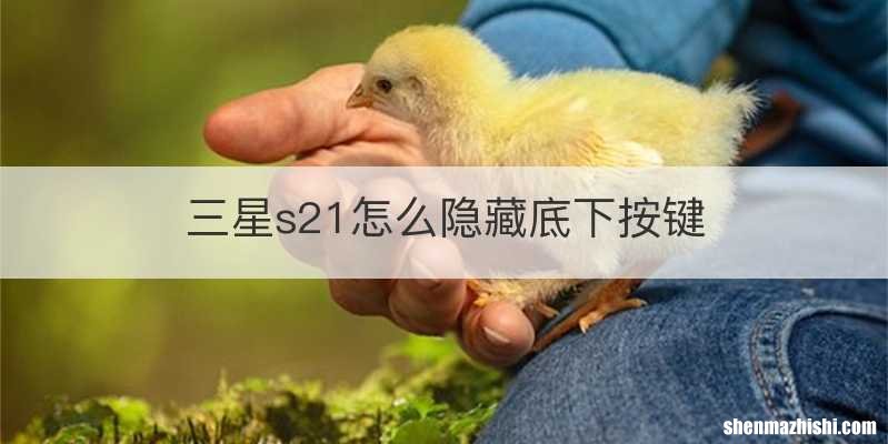 三星s21怎么隐藏底下按键