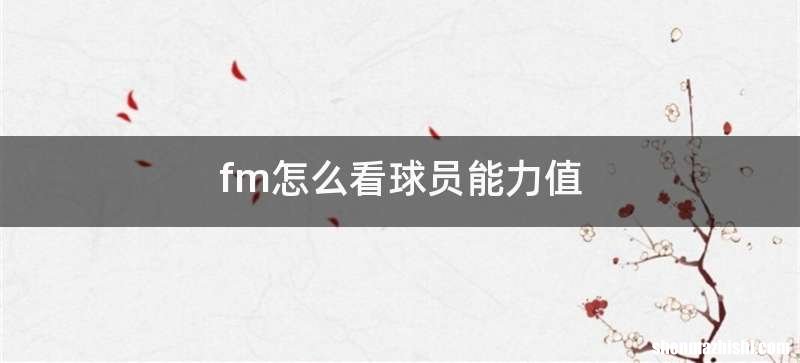 fm怎么看球员能力值