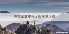 布雷尔真皮沙发质量怎么样